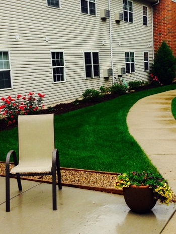 187Landscaping 2015 Rear left 2.JPG